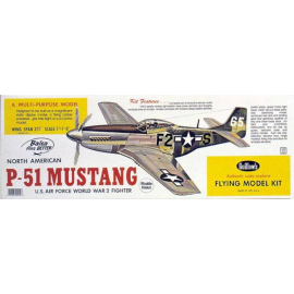 P-51 MUSTANG RC plane