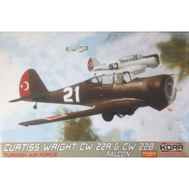 Curtiss-Wright CW-22R & CW-22B Falcon Turkish AF DOUBLE KIT!!! Model kit