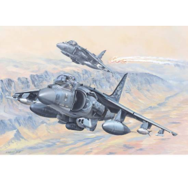 AV-8B Harrier II Model kit