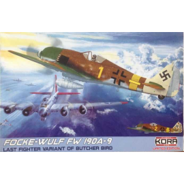 Back in stock! Focke-Wulf Fw-190A-9 (5 x camouflage schemes) Model kit