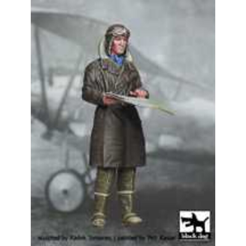 German Fighter Pilot 1914-1918 N°1 (designed to be used with Roden and Wingnut wing kits) [LVG C.VI Gotha G.IV Pfalz D.IIIa Alba