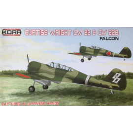 CW 22 & CW 22B Falcon Captured in Japanese Model kit