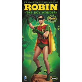 Robin from Batman 1966 TV Series 