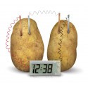 Potato clock