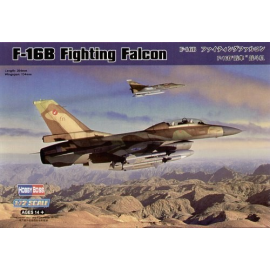 General Dynamics F-16B Fighting Falcon