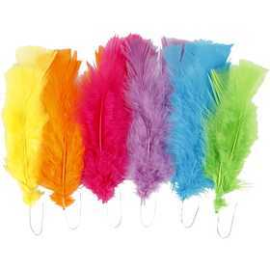 Feathers, L: 11-17 cm, asstd. colours, bright colours, 18bundles Feather