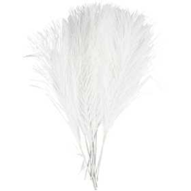 Artificial feathers, L: 15 cm, W: 8 cm, white, 10pcs Feather
