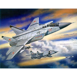 Mikoyan MiG-31 Foxhound Model kit