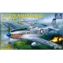 North American P-51D Mustang. Decals: 65th Squadron RAF 1945 USAF Korea 1950 NZAF 1953. Model kit