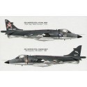 BAe Sea Harrier FRS.1. Decals for 700A Flight RNAS Yeovilton 1979 and Indian Navy 300 Squadron INS Viktant 1982