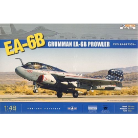 Grumman EA-6B Prowler Model kit