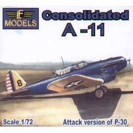 Consolidated A-11 attack version of P-30 Model kit