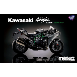 Kawasaki Ninja H2 (Pre-colored Edition)