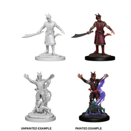 Dungeons and Dragons: Nolzur's Marvelous Miniatures - Male Tiefling Warlock Figurines for role-playing game