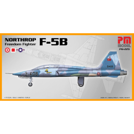 Northrop F-5B Freedom Fighter (3-408) Model kit