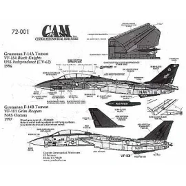 Grumman F-14A/B Tomcat (2) 161621 NF/100 VF-154 Black Knights USS Independence 1996 192923 AD/101 VF-101 Grim Reapers NAS Oceana