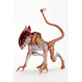 Aliens Figure Panther Alien (Kenner Tribute) 23 cm