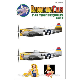 Decals Republic P-47D Thunderbolt Bubble (2) 