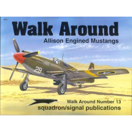 Book Allison Engine Mustangs (Walk Around Series) 