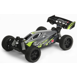 Pirate Stinger II RC Buggy