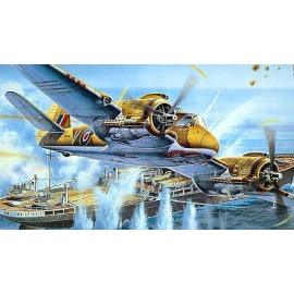 Bristol Beaufighter Mk.VI Model kit