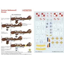 PZL P.23A/B Karas (5) Choice of four Polish and one Romanian