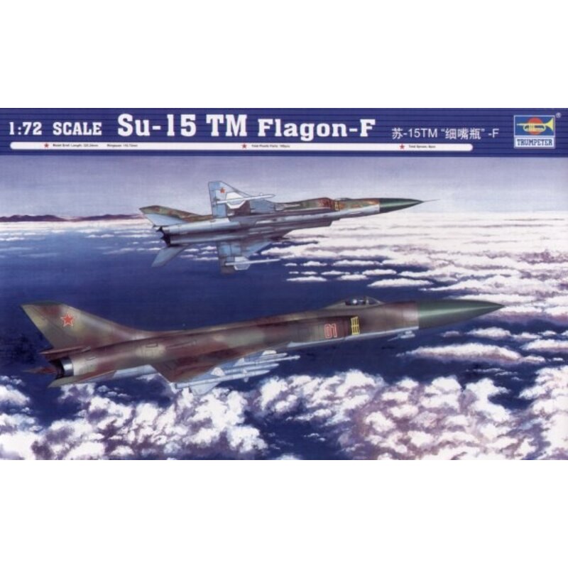 Sukhoi Su-15TM Flagon F