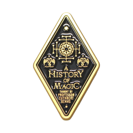HARRY POTTER - History of Magic - Pins 