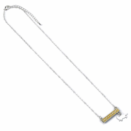 Harry Potter Hufflepuff Bar Pendant and Necklace 