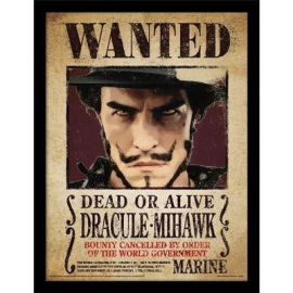 ONE PIECE LIVE ACTION Netflix - Dracule Mihawk - Framed print 30x40cm 