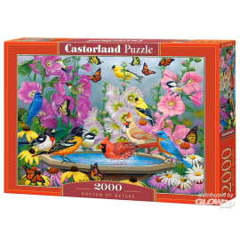 Rhythm of Nature Puzzle 2000 Teile 