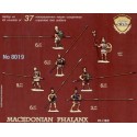 Macedonian Phalanx IV-1 BC Zvezda