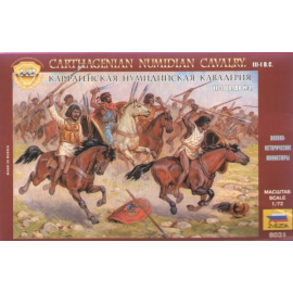 Carthagenian Numidian Cavalry