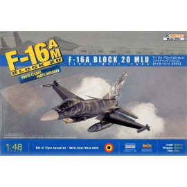 F-16A TIGET MEET 2009 (W/ PE) Model kit