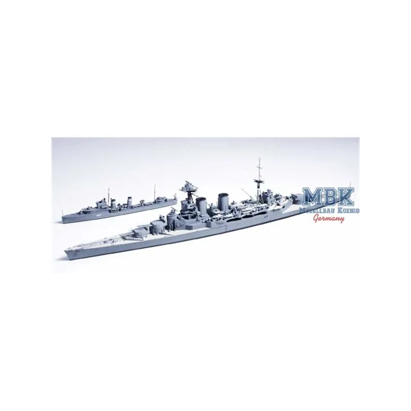 HMS Hood & E Class Destroyer