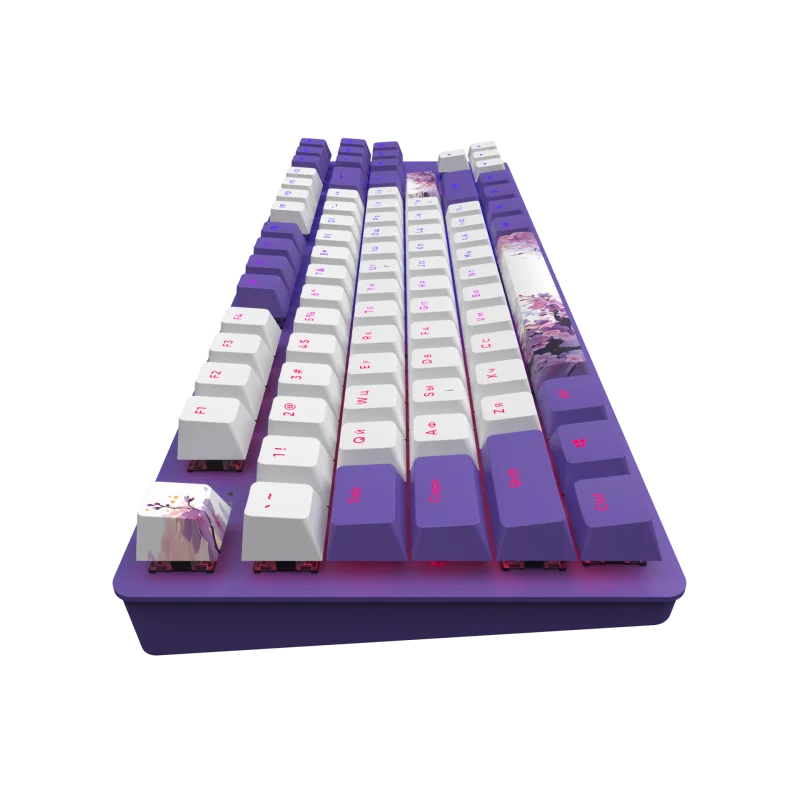 Dark Project One - 87 Violet Horizons RGB ANSI Keyboard QWERTY