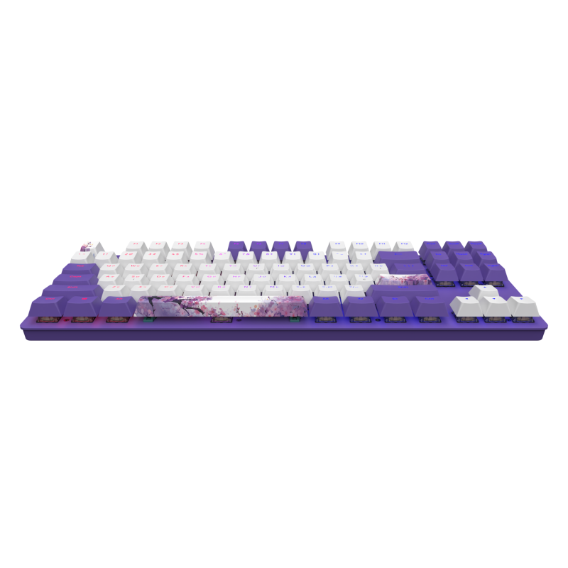 Dark Project One - 87 Violet Horizons RGB ANSI Keyboard QWERTY