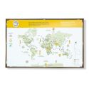 Clear 2D WOODEN WORLD MAP S