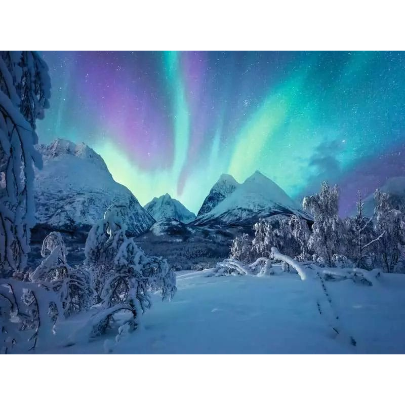 Power of Nature puzzle When the northern lights dance (1500 pieces)