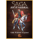 Saga - Age of Hannibal - Gallic Starter Warband