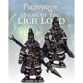 Frostgrave - Spectral Knights