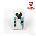 Red Fox Studio 