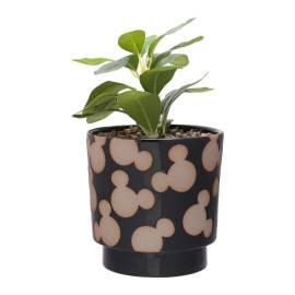 MICKEY - Shapes - Black&White - Pots + Fake Plant