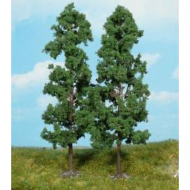 Set of 2 Beech trees Height 18 cm