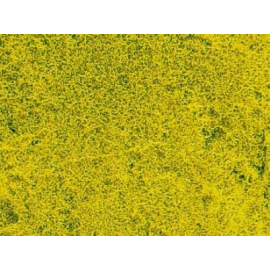 Rapeseed flower meadow grass mat 28 x 14 cm