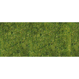 Mountain meadow grass carpet 24 x 14 cm 