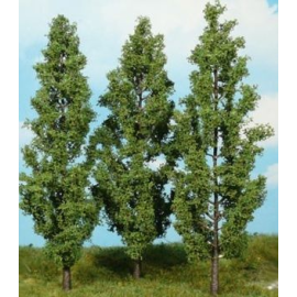 Set of 3 poplars 18 cm 
