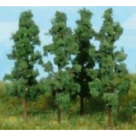 Set of 4 Poplars 13 cm