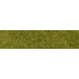 Wild grass carpet woodland 45x17 cm