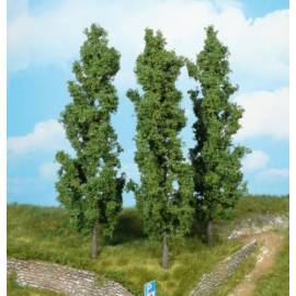 Set of 3 poplars Height 18 cm